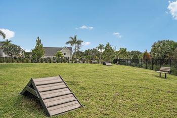 Dog park